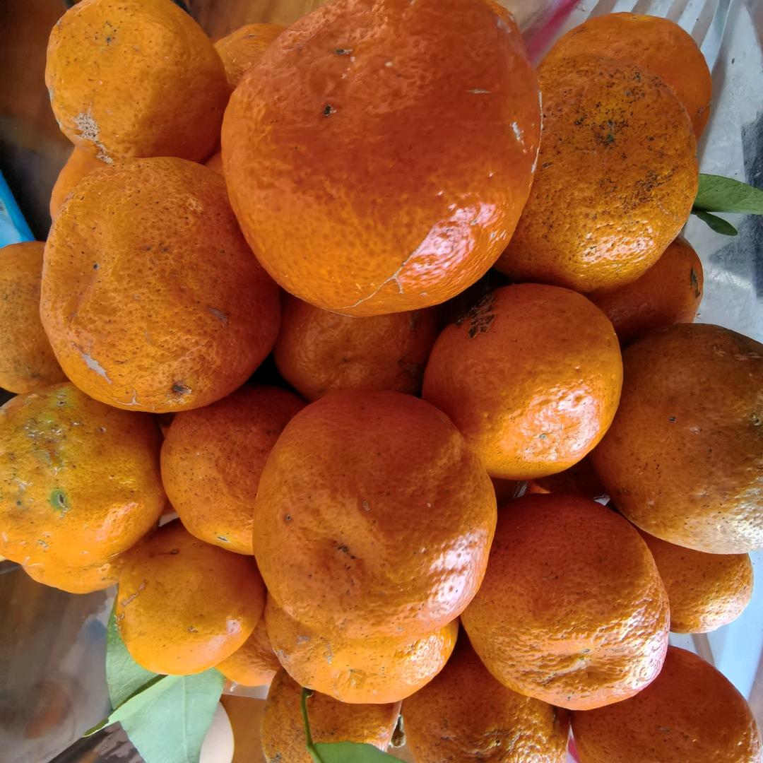 姐的霸气你不懂