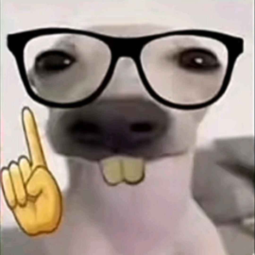 臭狗