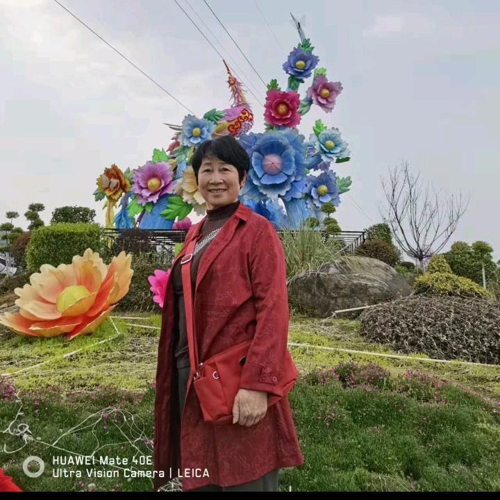徐珍娣