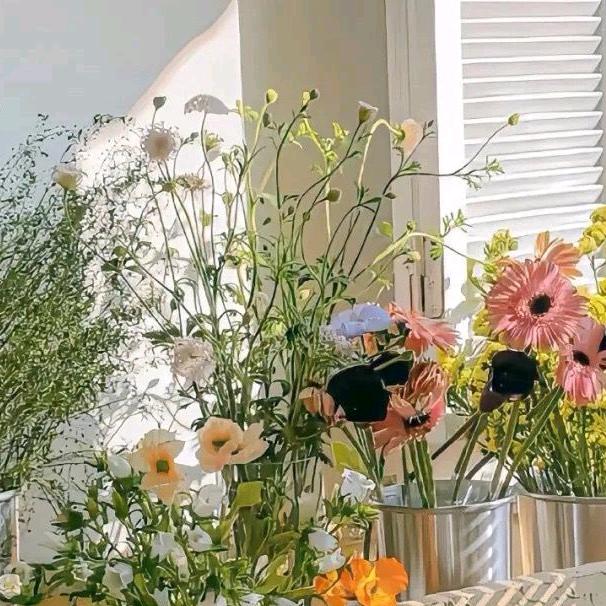 时尚女装穿搭分享