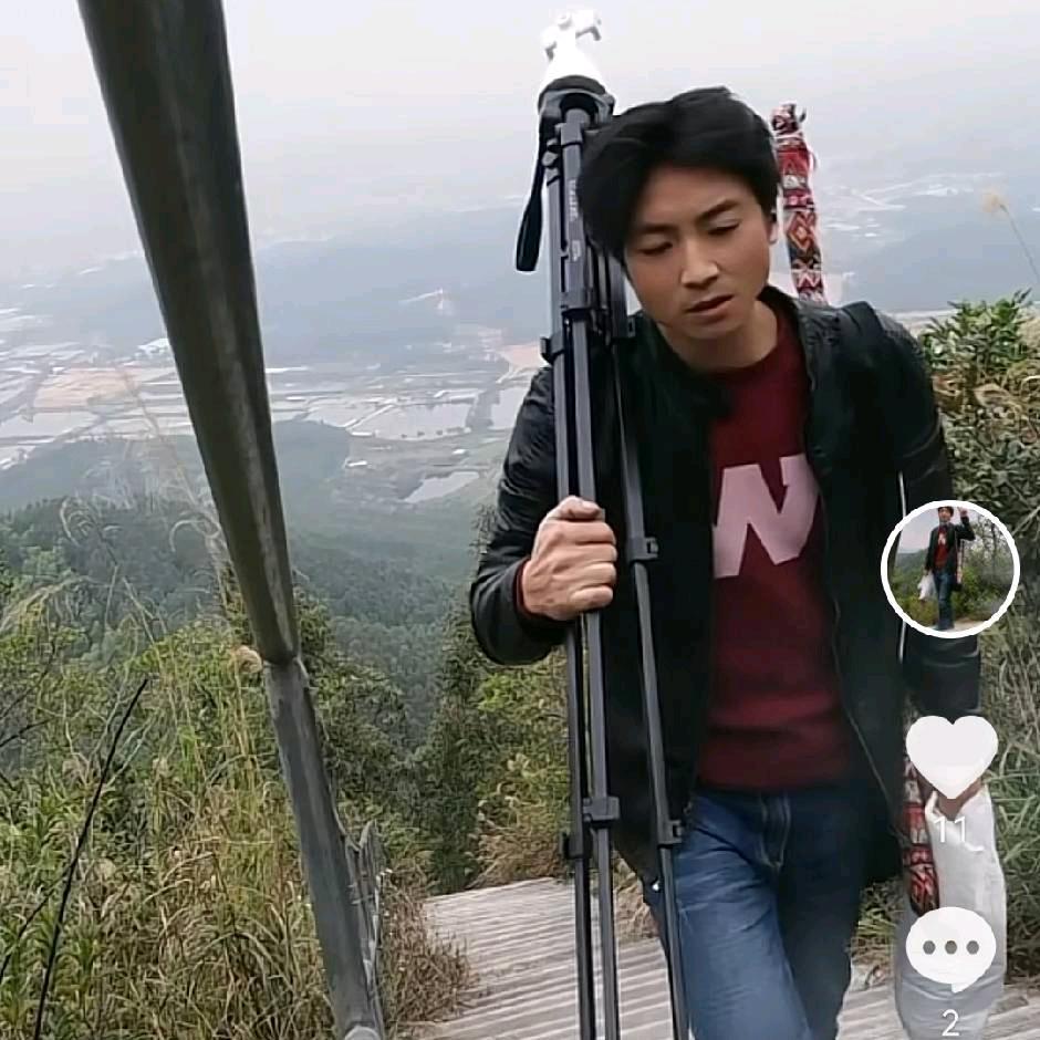 贵州:贵C《斑鸠》哥