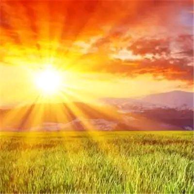 🌞冬日暖阳🌞