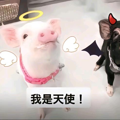 ʚ古早萌味ɞ