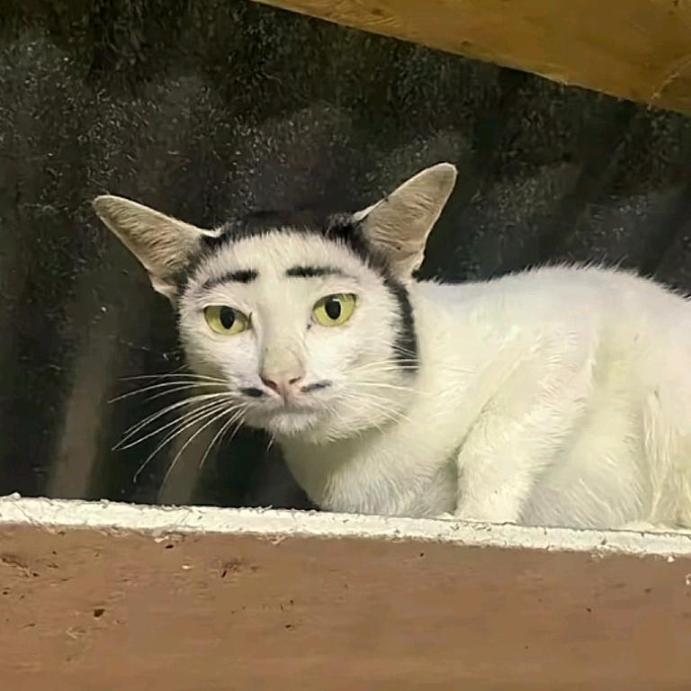 把U笑乐