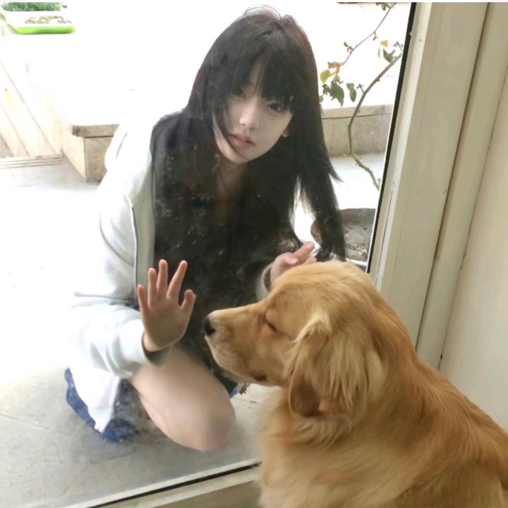 森林
