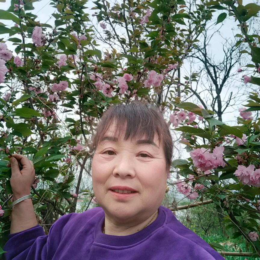 大石桥张姐
