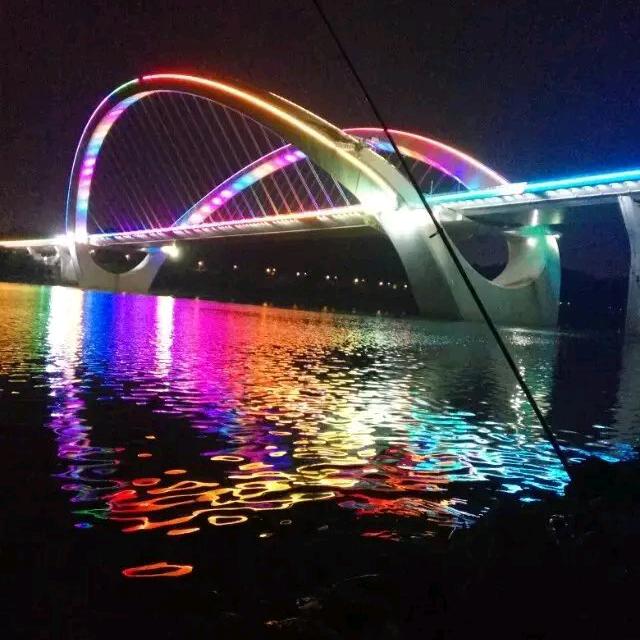 🌹花开有声🌹