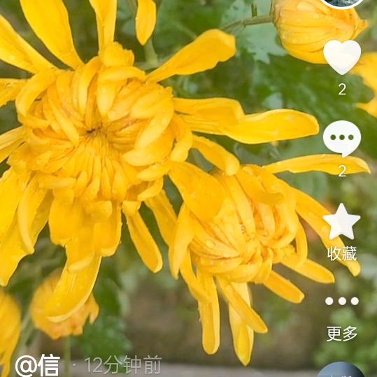 信
