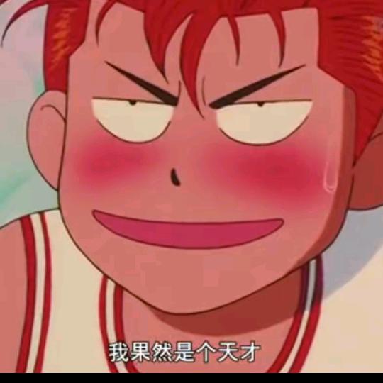 林一个树一个都有