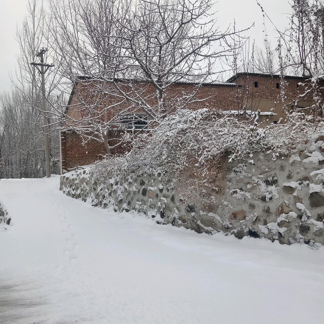 用户2299122753102奇遇