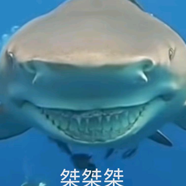 半世浮沉