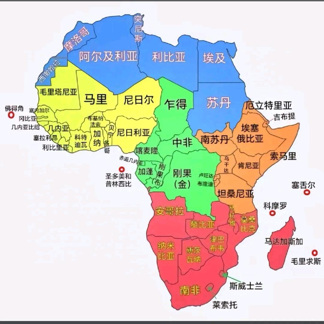 非洲—青创同盟商会 会长