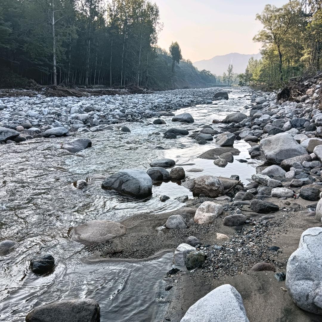 三十不到四十有余