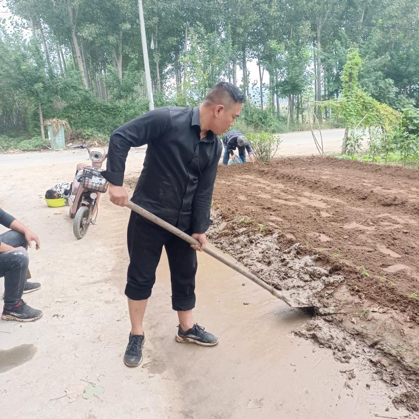 徐营水泥哥