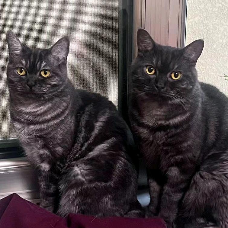 我站在这里等你