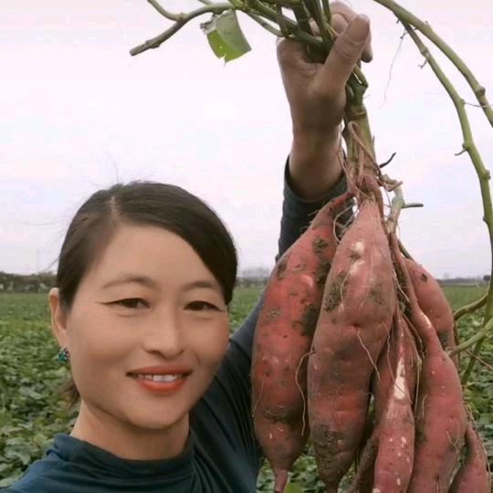 梦想成真：M