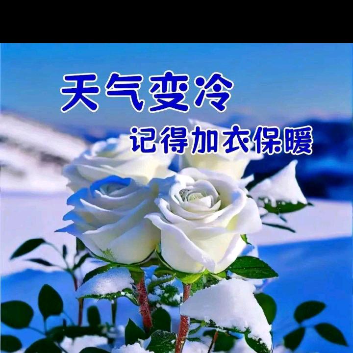 等待远方的你