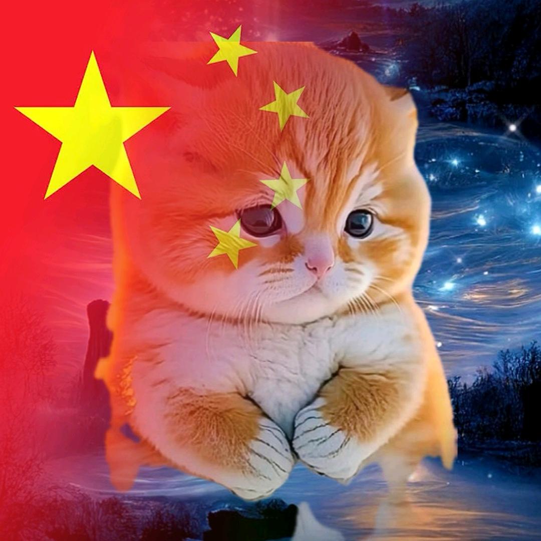 弍弍零弍壹捌