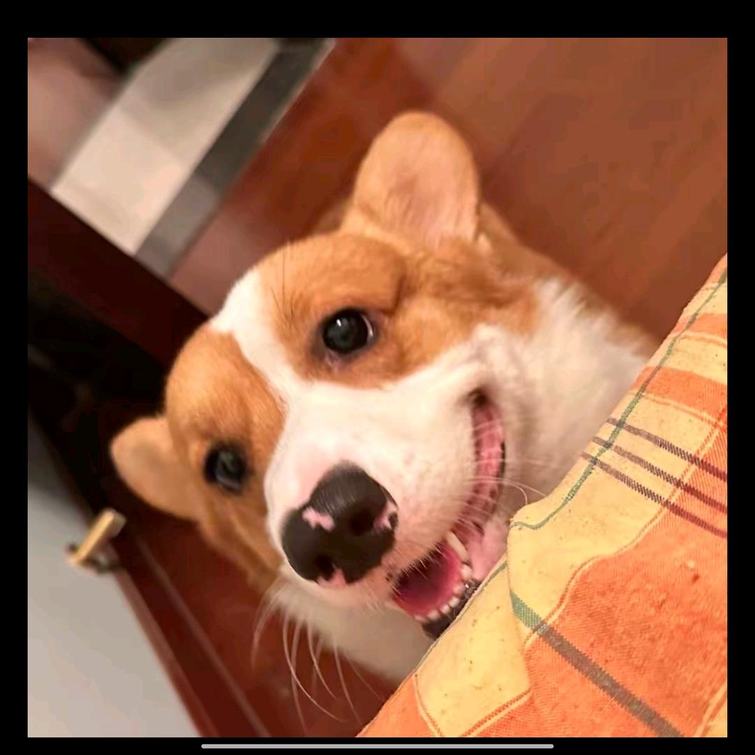 东晨