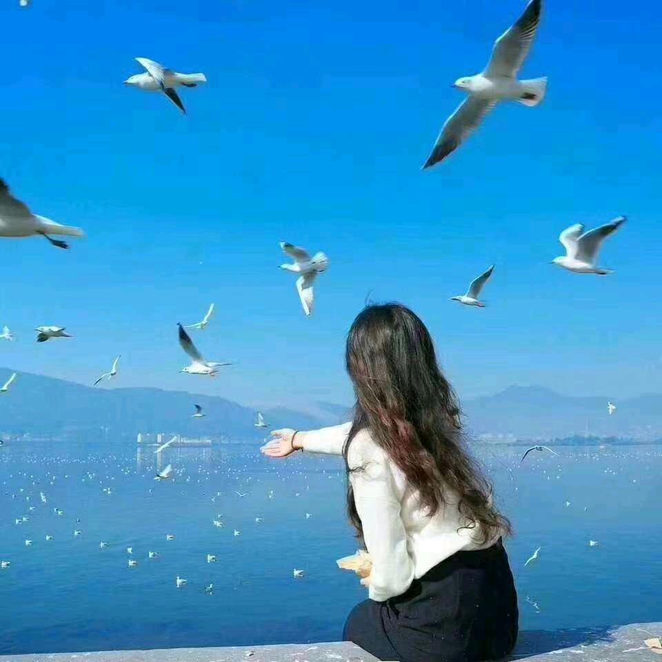 @海浪🍎好物分享