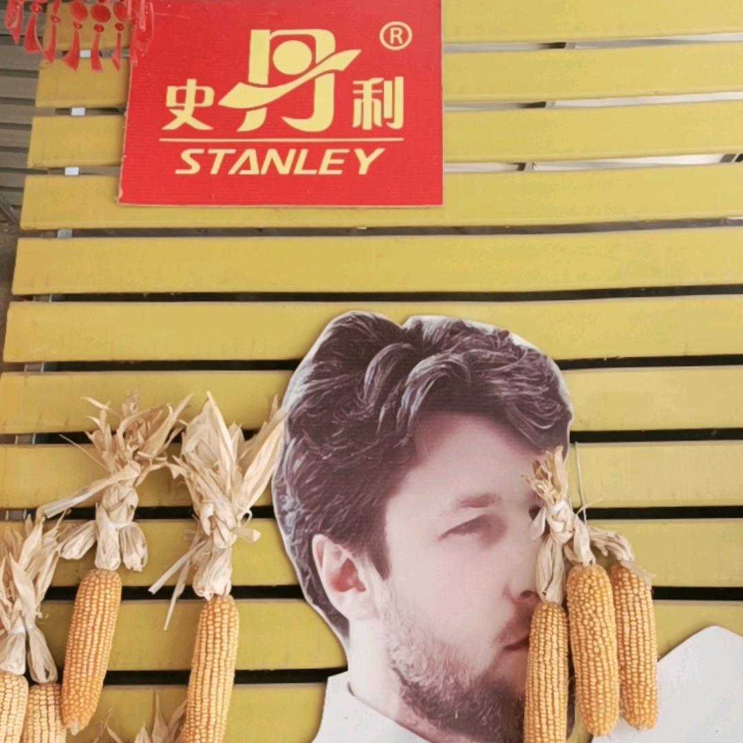 大沙邱农资站（张军波代理处）