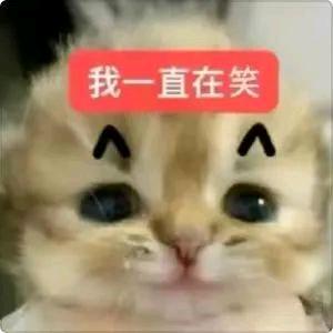 请你勿忘我