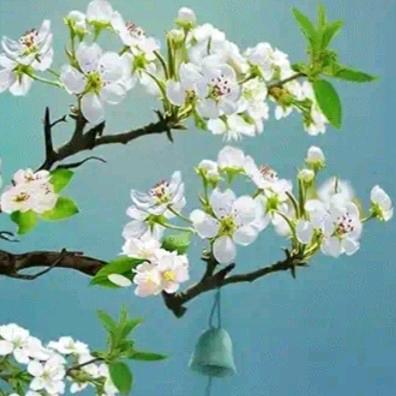 💕᭄ꦿ穿透ᮩ້心灵ོ࿆的冰᭄🕊