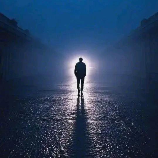 豁出去的老实人