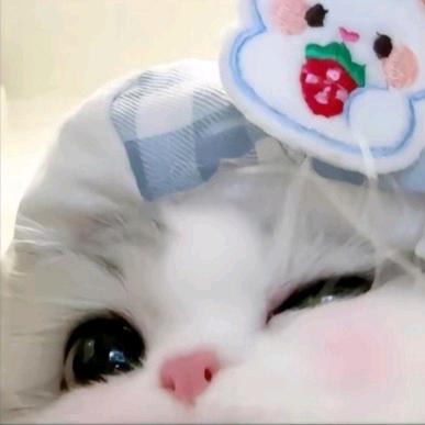 孟澜幽梦
