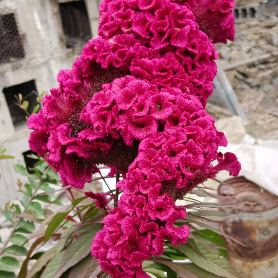 缘分