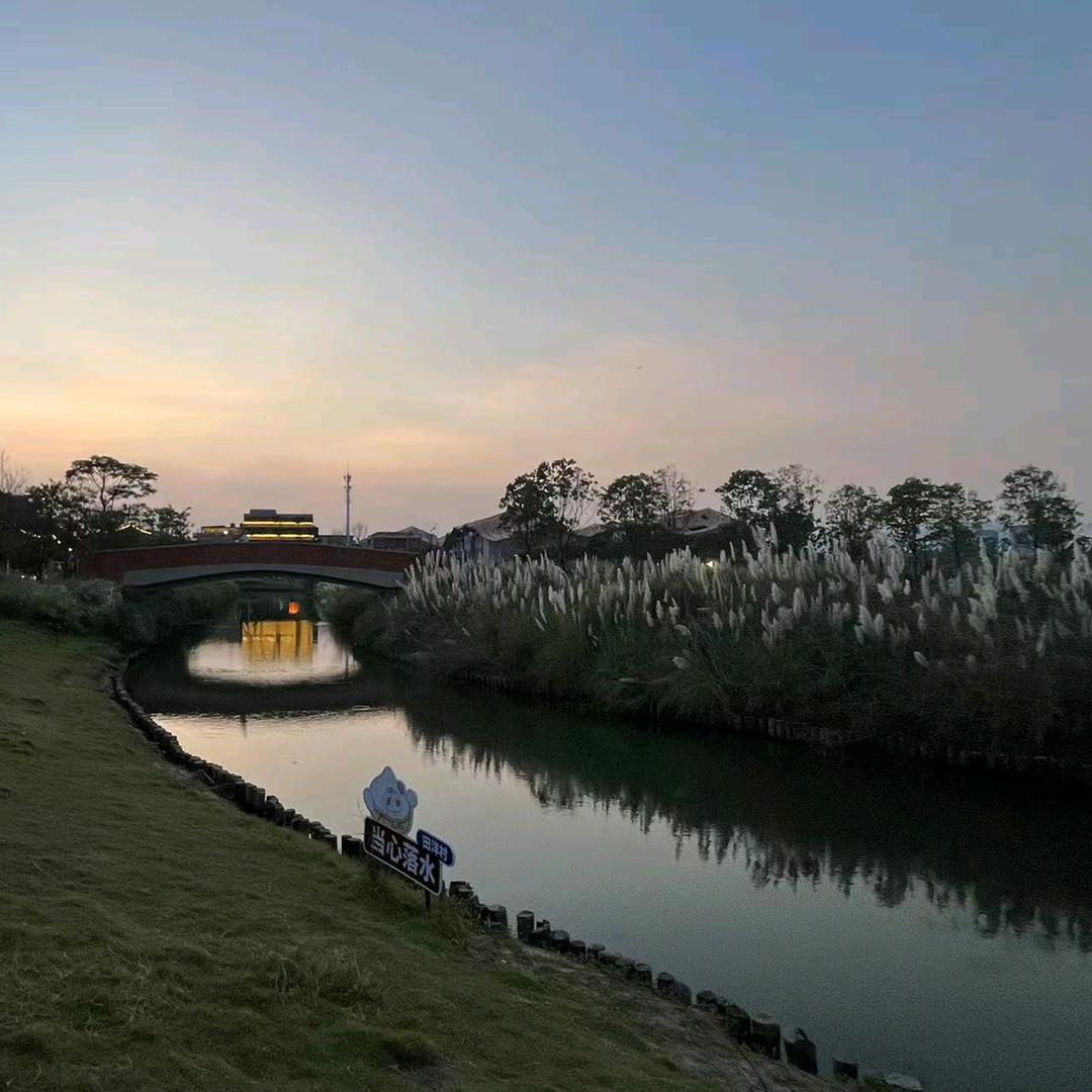 风里来的钓鱼人