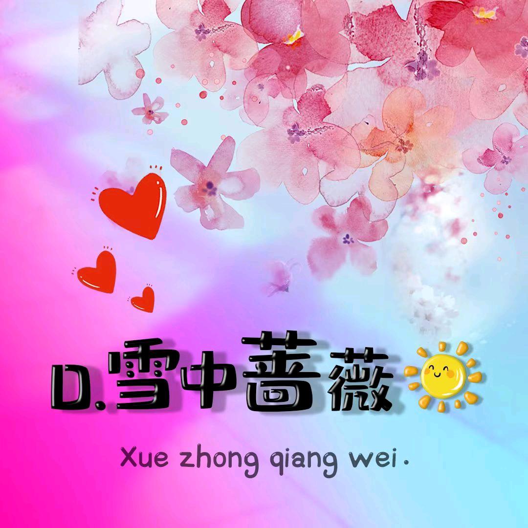 L.雪中蔷薇☀️