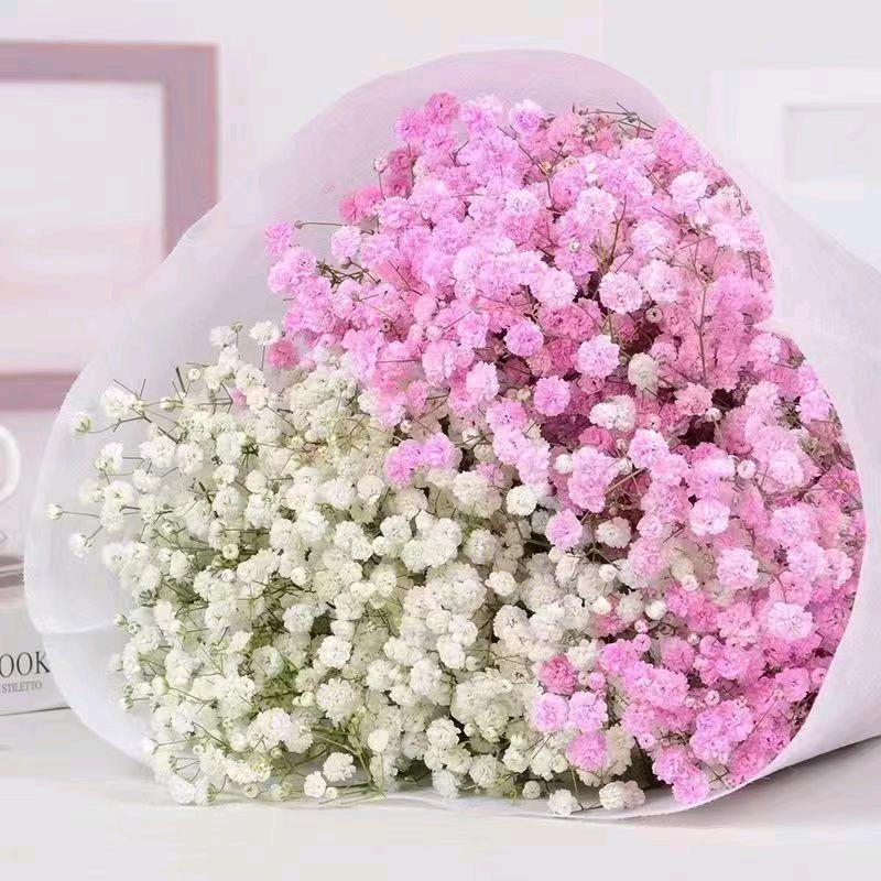 💕繁花小铺🌸