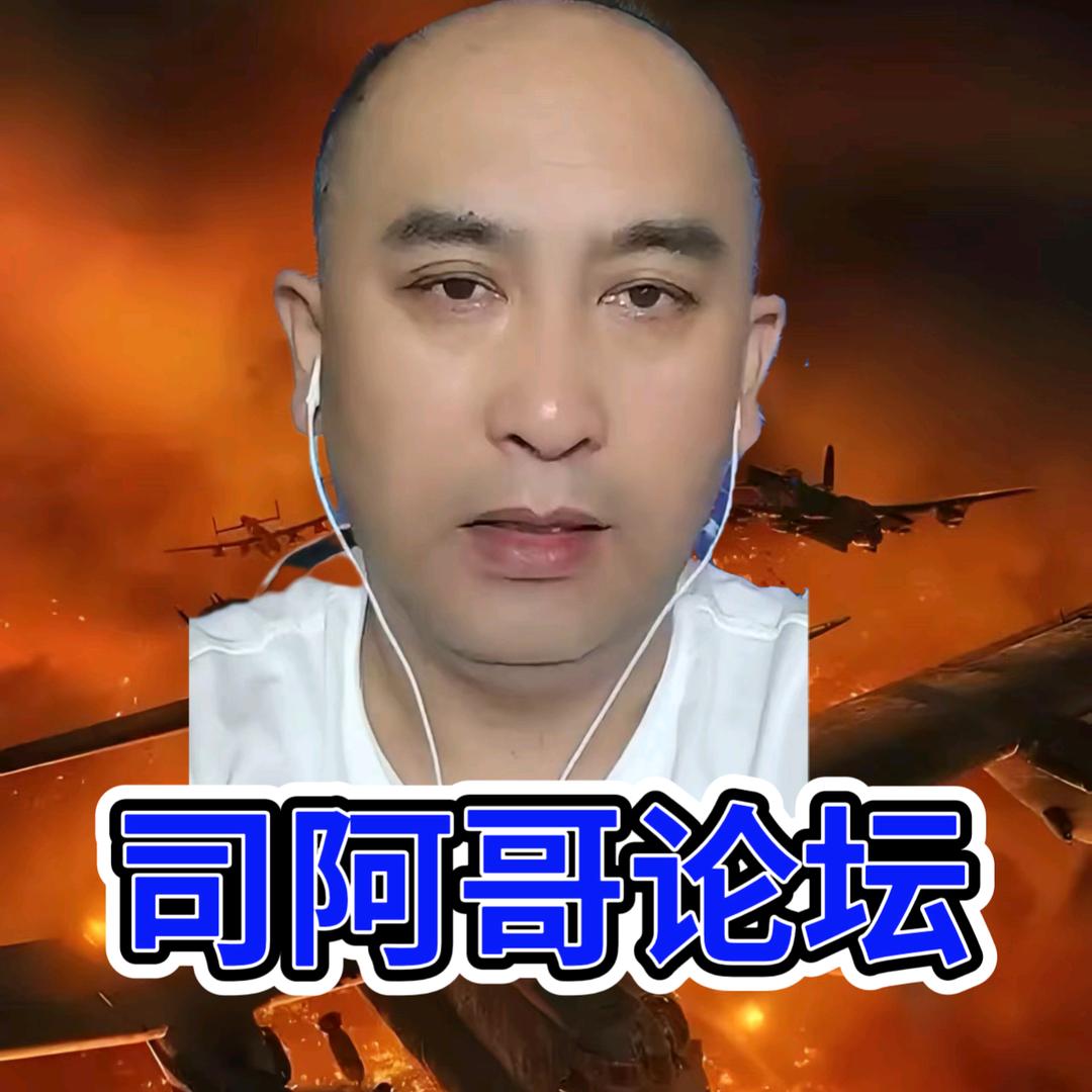 司大林