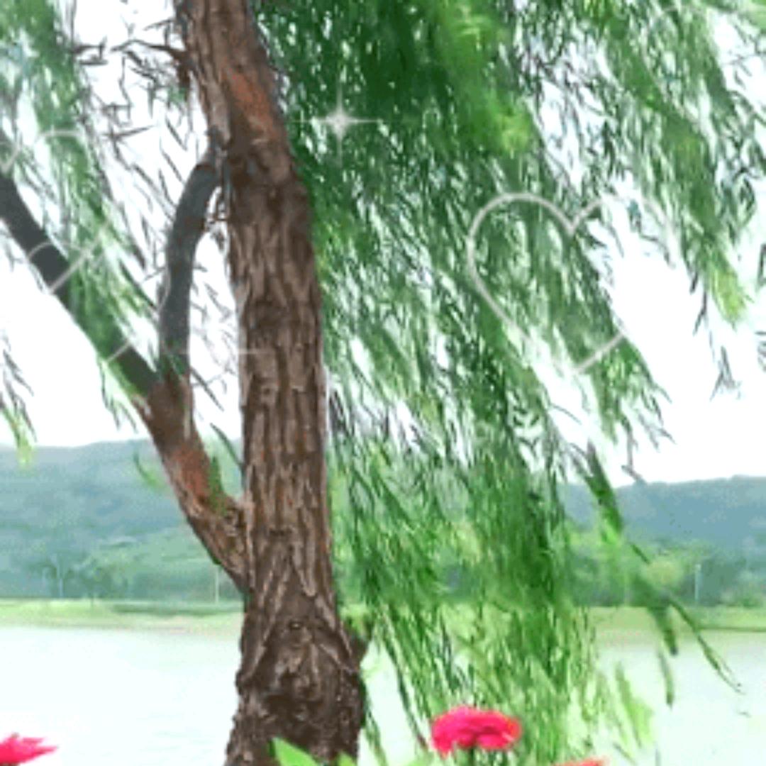 🍁愤怒的小鸟🍀🍀