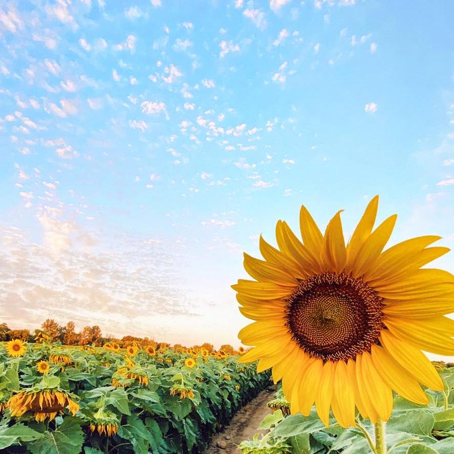 往昔今后【橱窗里🈶好物】