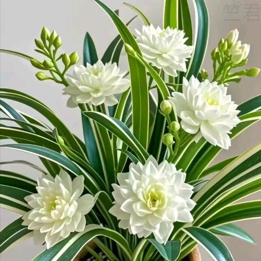 岁月悠悠，慢慢轻过