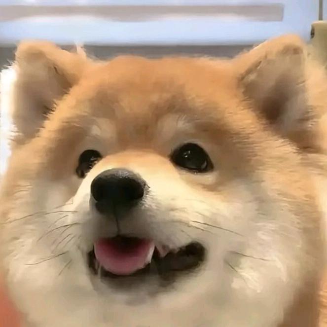 六酱～（音乐剪辑版）