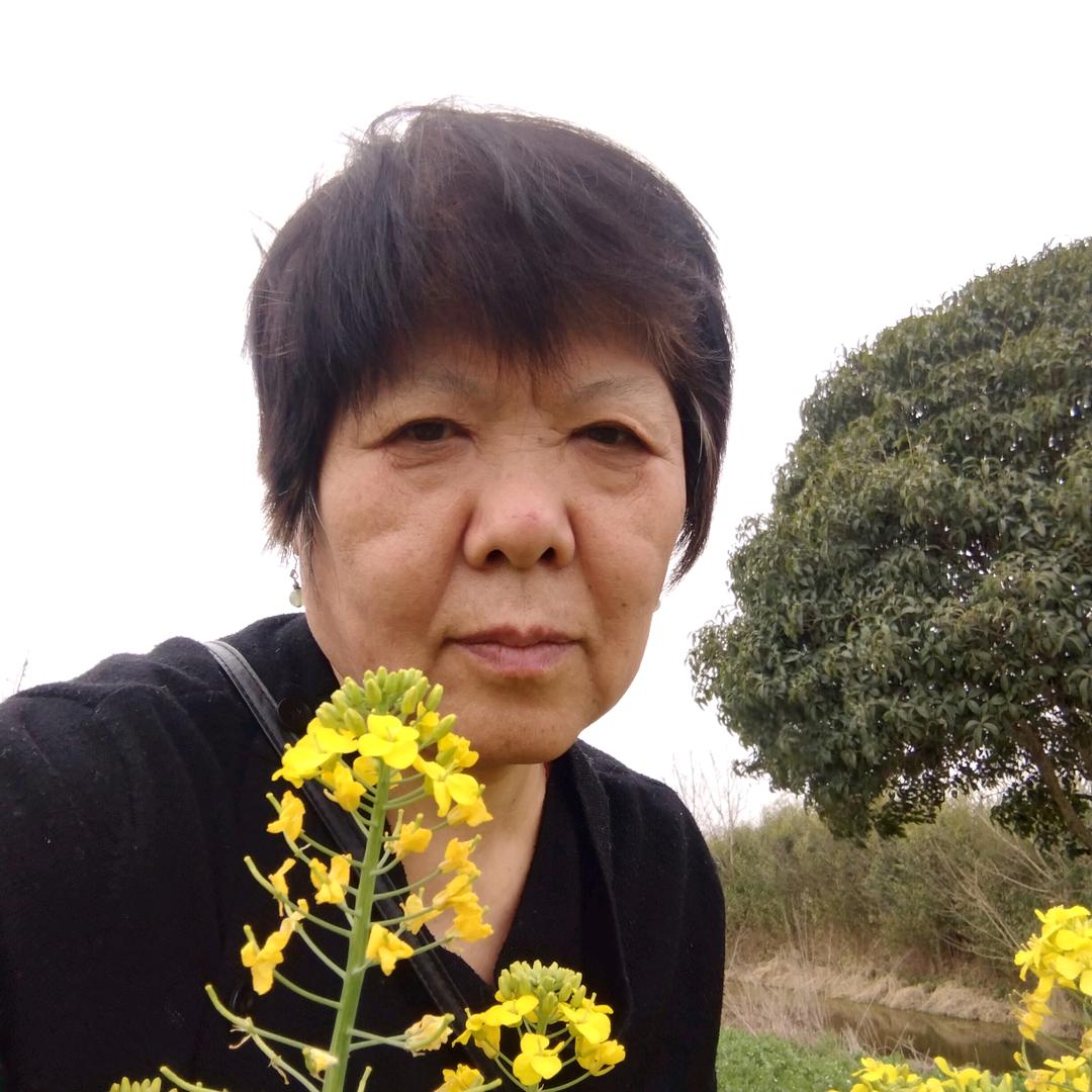 刘秀兰