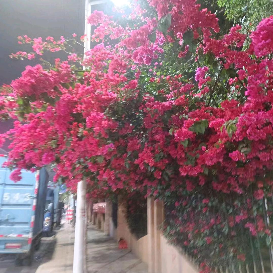 心痛，谁懂