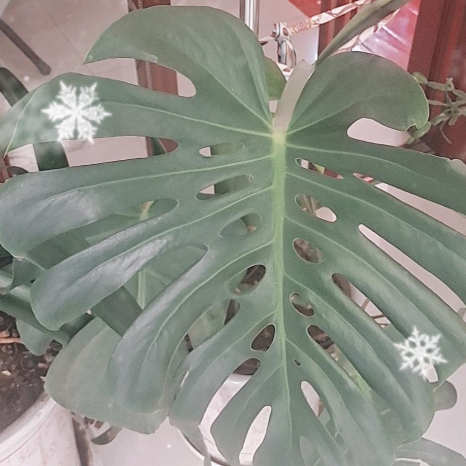 用户9003001995787知足常乐