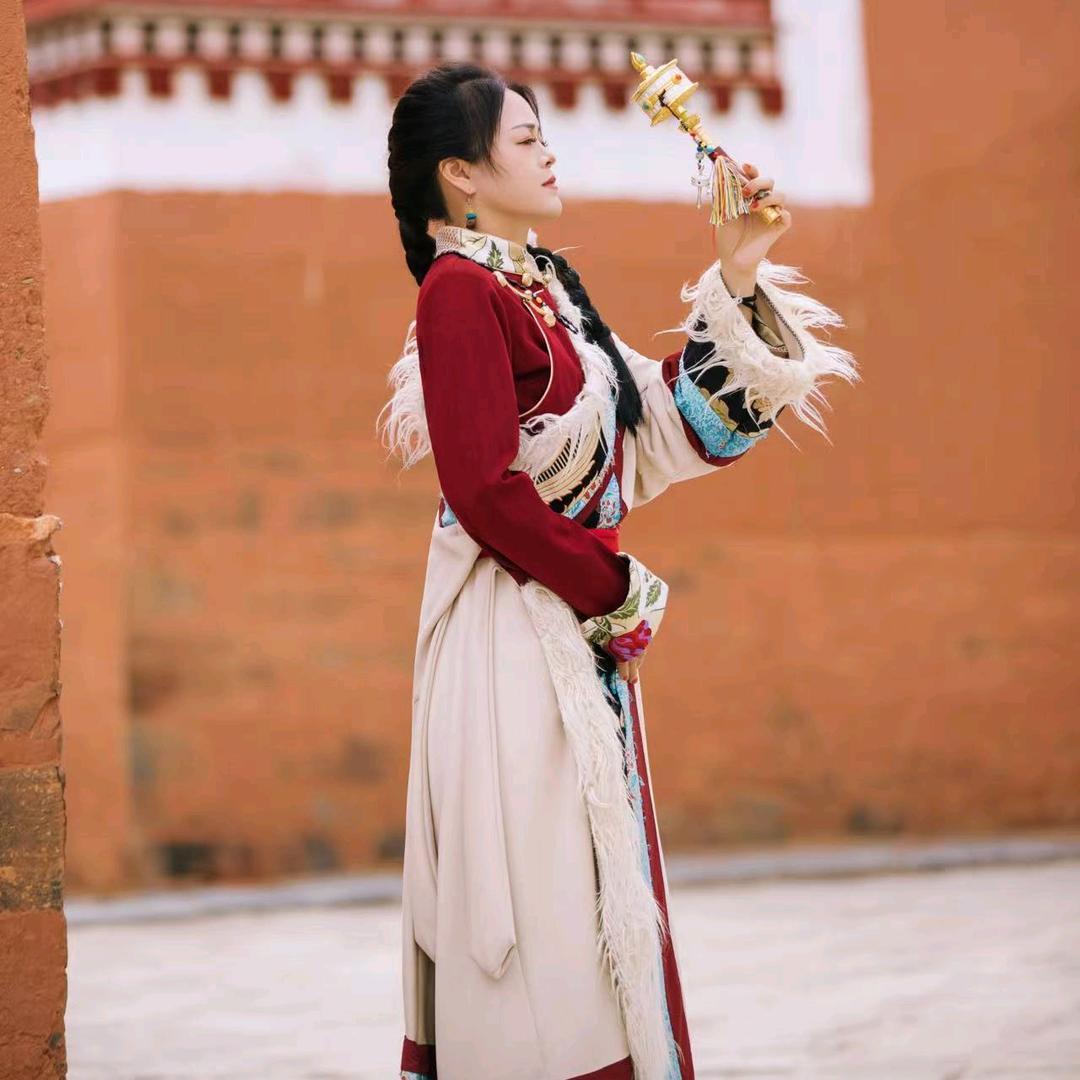 心向杨