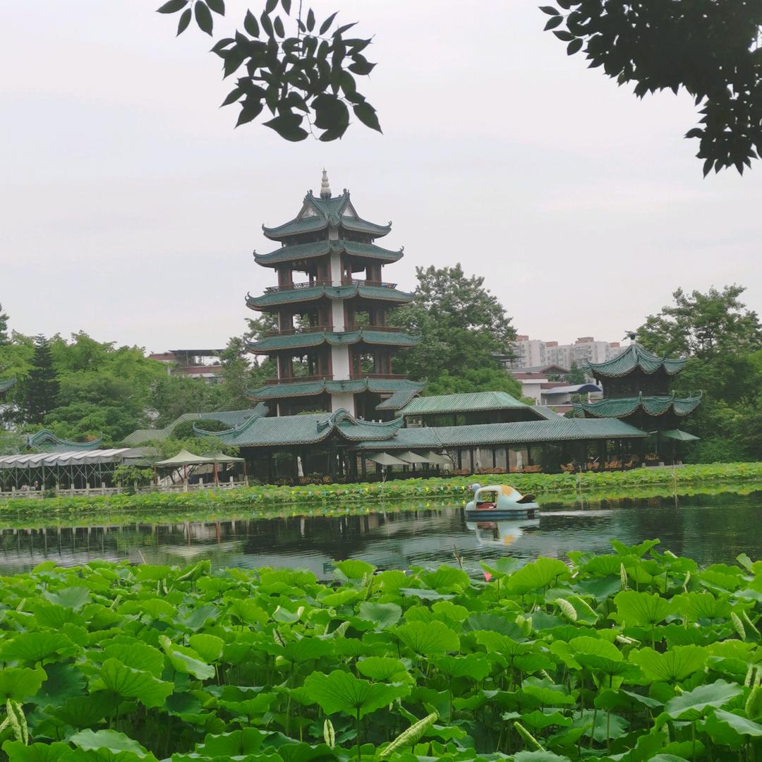 四川洋哥