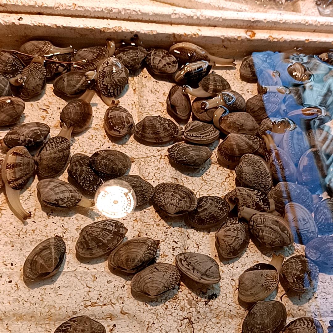 心想事成，