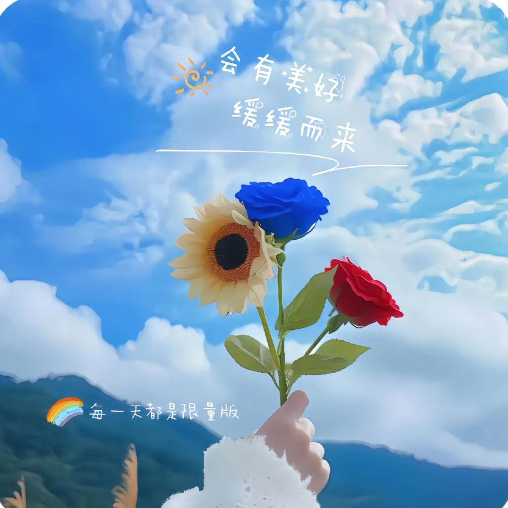 花儿朵朵🌸