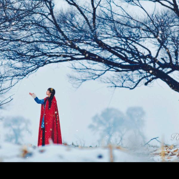 江雪