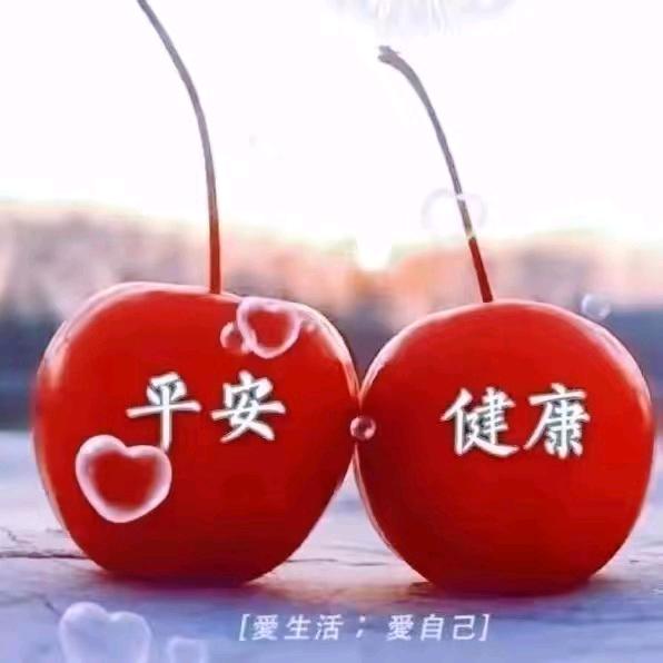 野狼