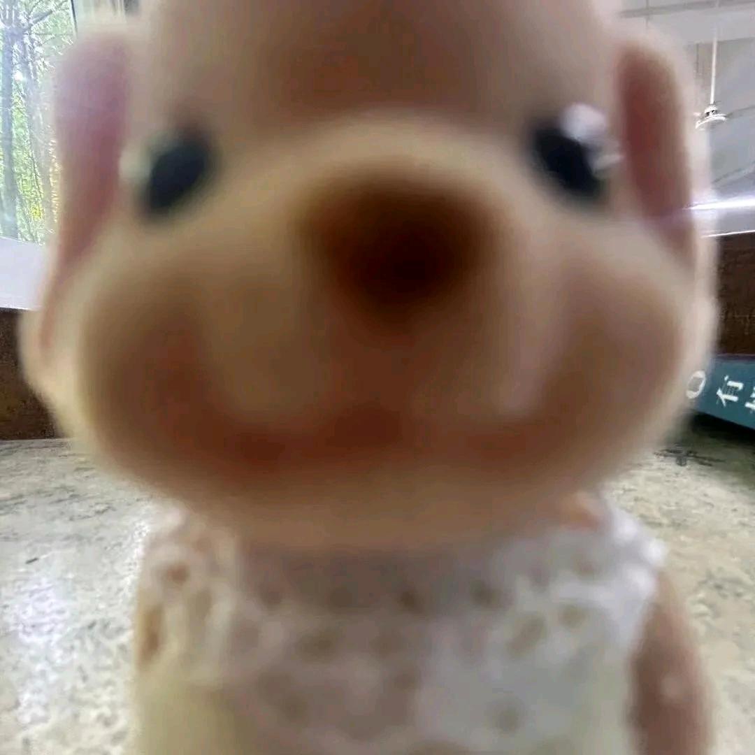 鸭力衫大