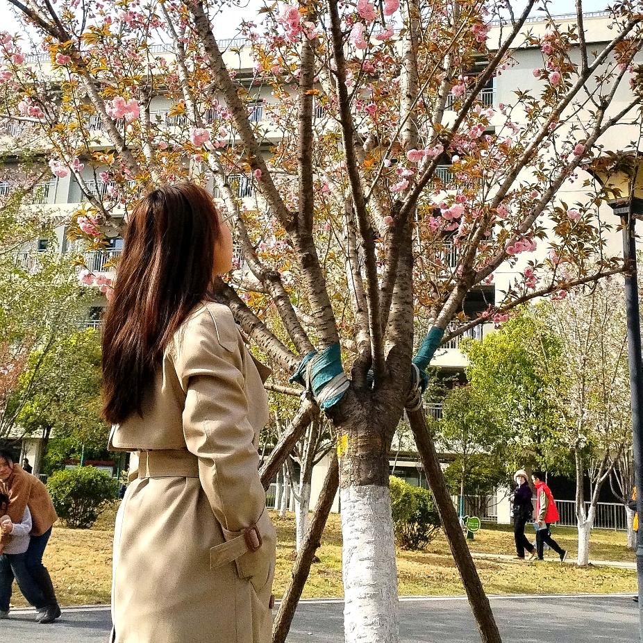 小苒苒吖✨