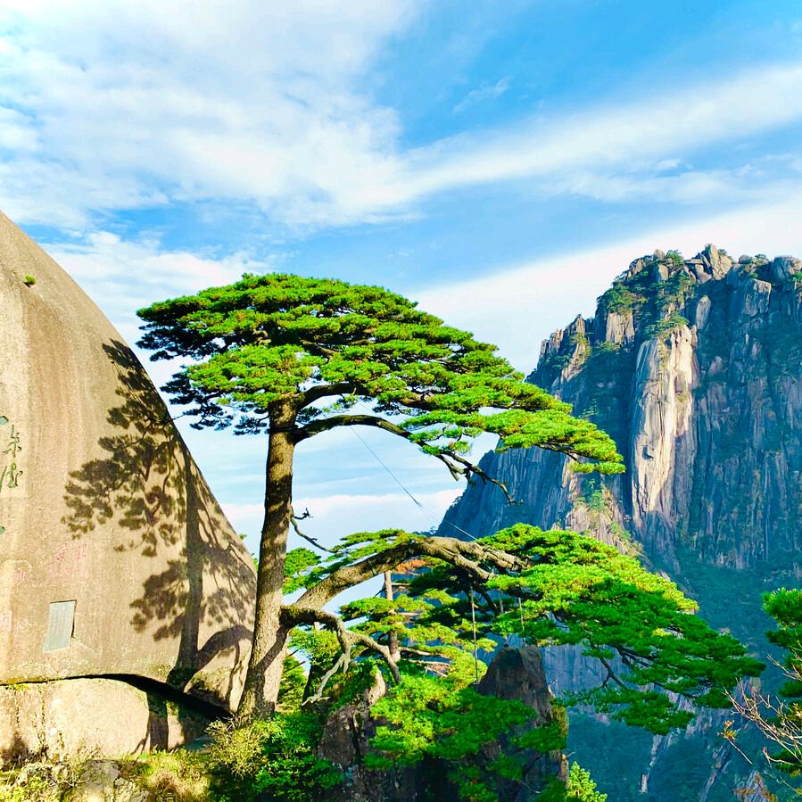 厚德载物.唐老师（智趣小课堂）